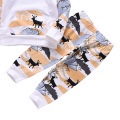 Wholesale 2021 Autumn Custom Logo Children Cotton Clothing Cartoon Printed Hoodie Tops Pants Outfits Kids Boy Two Piece Sets